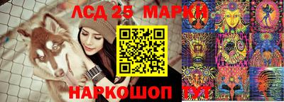 крисы Будённовск