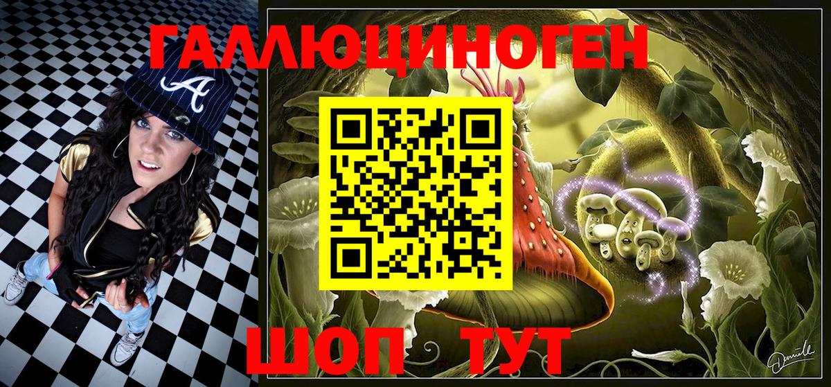 Сатка  Псилоцибиновые грибы MAGIC MUSHROOMS  Вход с VPN 